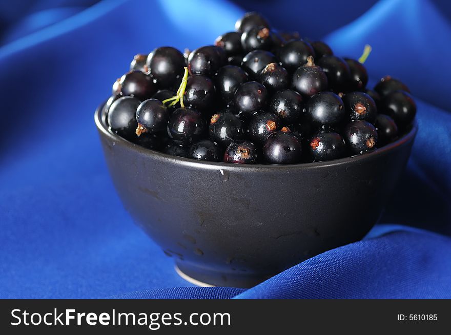 Black currants in the black bowl on the blue background. Narrow depth of field. Black currants in the black bowl on the blue background. Narrow depth of field.