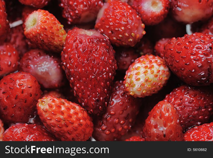 Wild strawberries. Narrow depth of field.