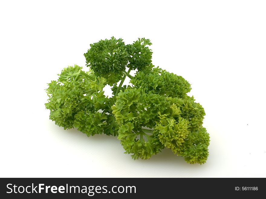 Parsley on a white background