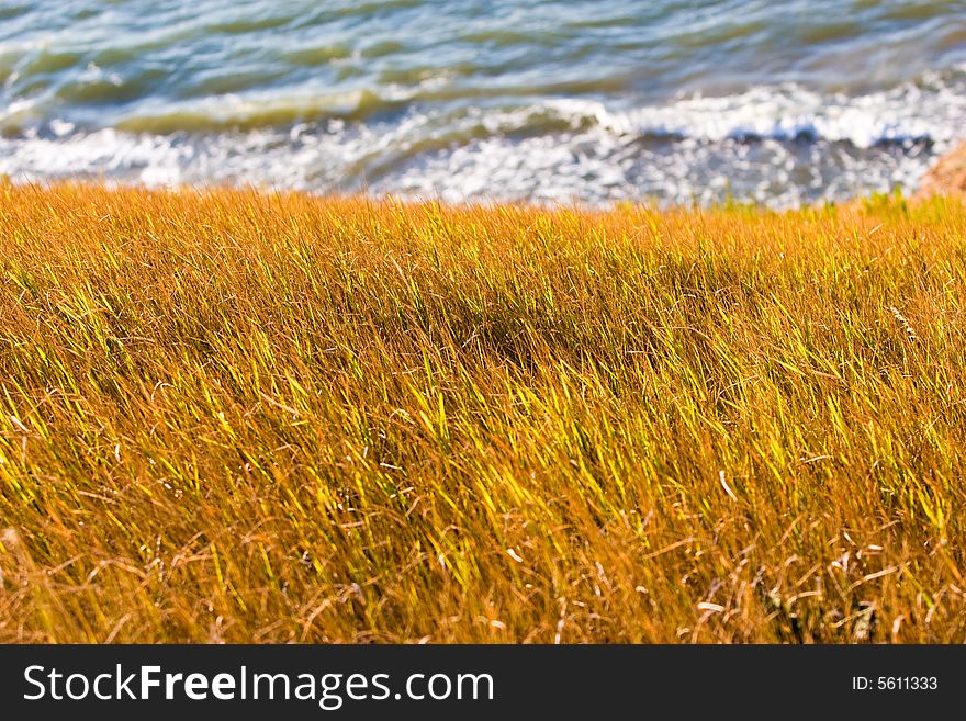 Nature series: steppe and sea in hot summer season