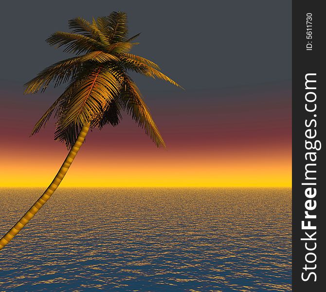 Coconut palm and sunset sky - digital artwork