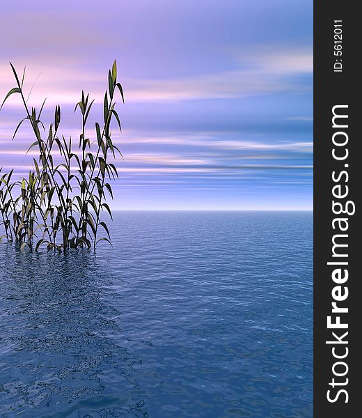 Water plants and blue sky - digital artwork.