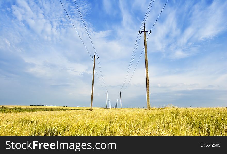 Field and powerlines - Russian landscape