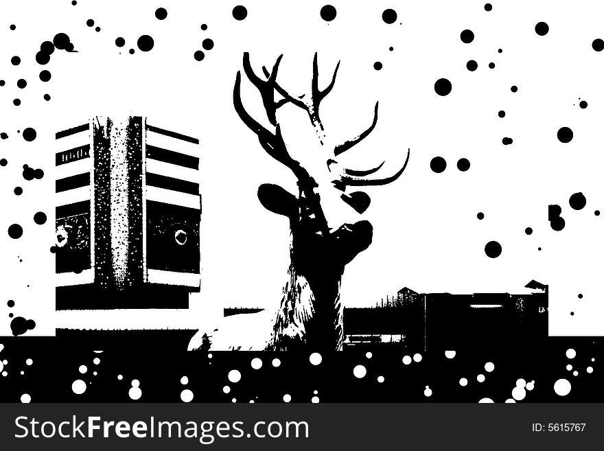 Deer In City