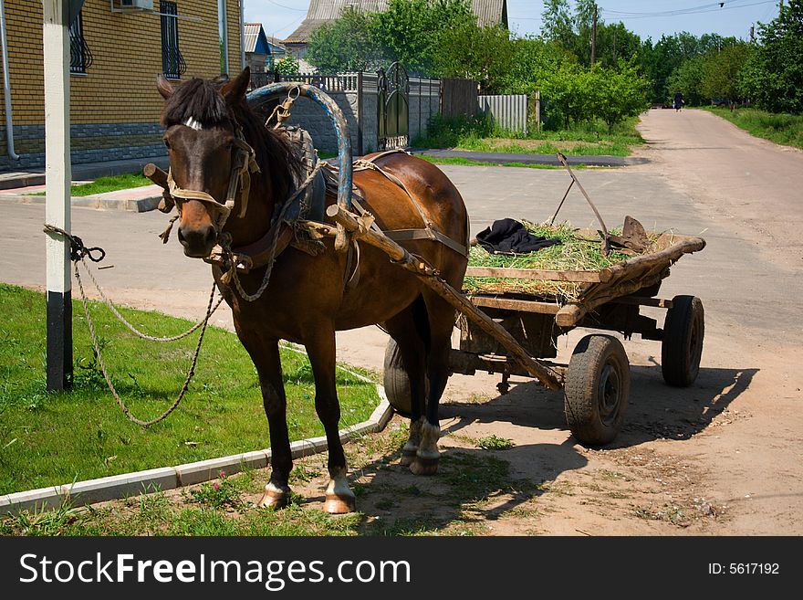 Horse-drawn vehicle in rural area (rural scene in Russia)