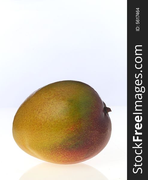 One mango on top of white plexiglas. One mango on top of white plexiglas