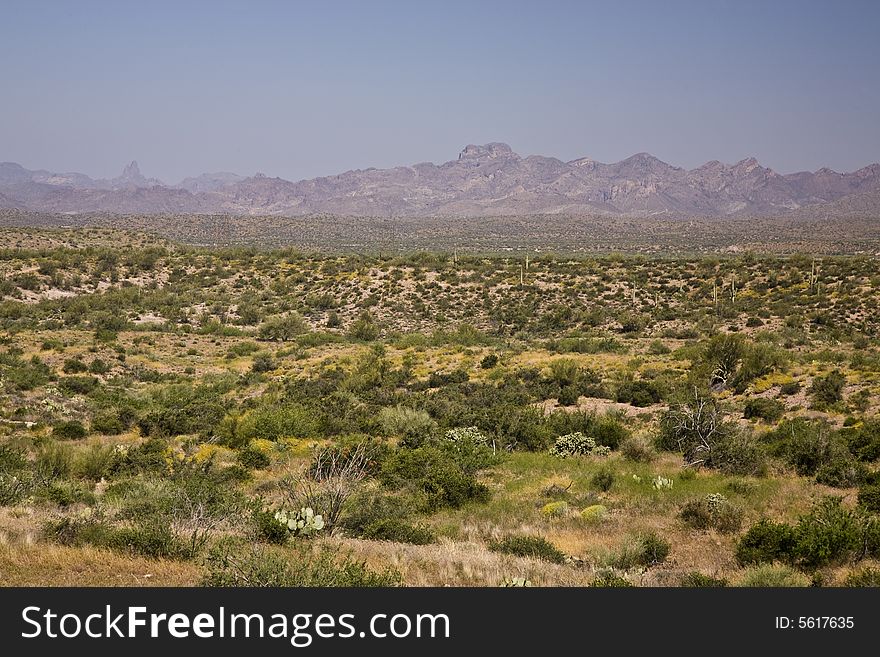 Open valley south of Superior, AZ. Open valley south of Superior, AZ