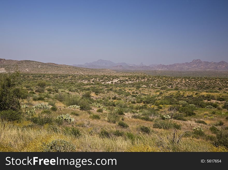 Desert wilderness southeast of Phoenix. Desert wilderness southeast of Phoenix