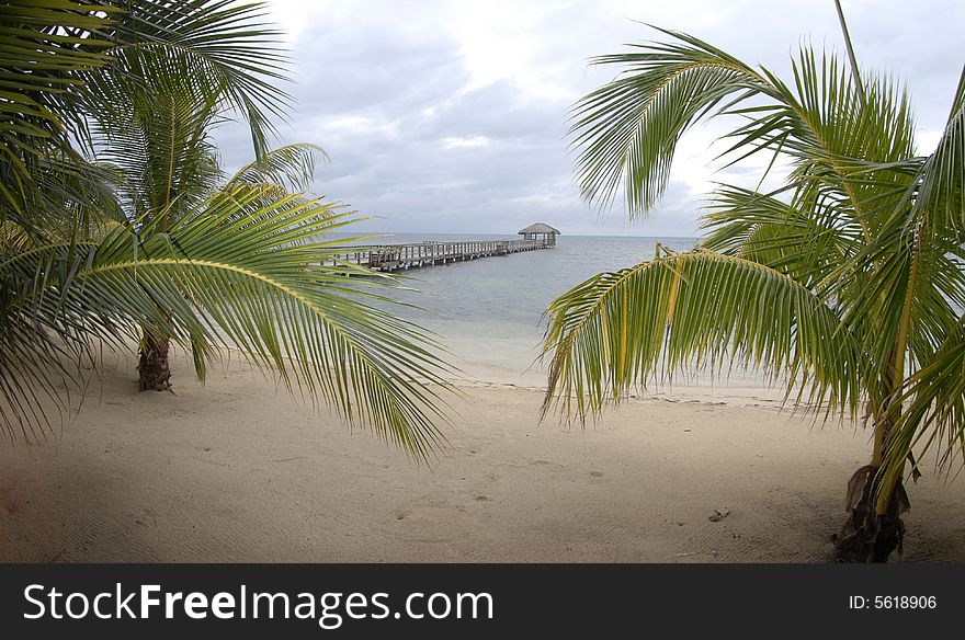 Tropical view of beach with a dock stretching out to sea. Tropical view of beach with a dock stretching out to sea