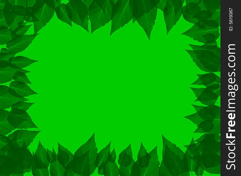 Green card with the image of leaves on edges. Green card with the image of leaves on edges