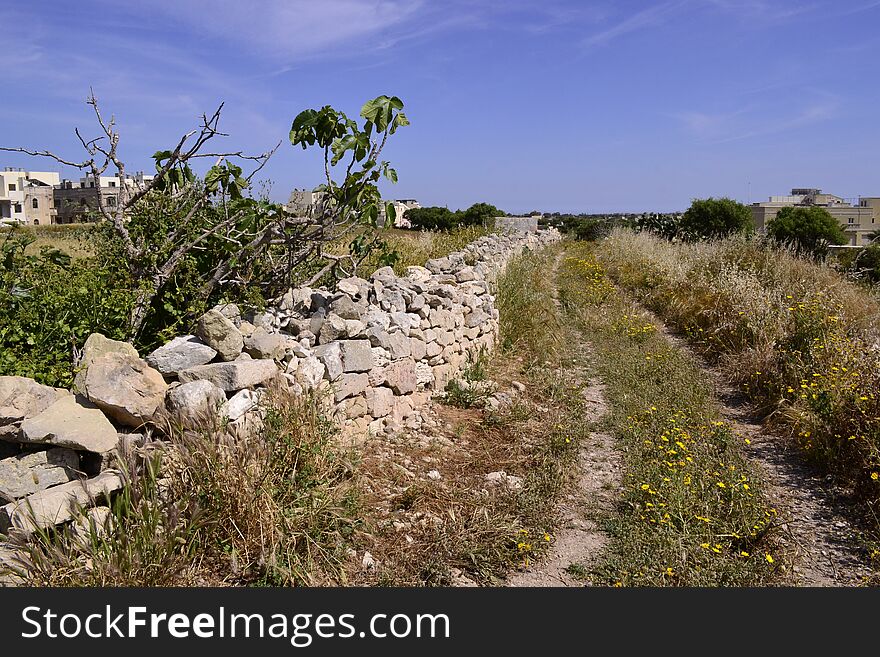 Plants Of Malta