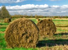Intorted Rolls Of Hay On The Autumn Field Royalty Free Stock Photography Intorted Rolls Of Hay On The Autumn Field Royalty Free Stock Photography