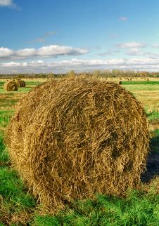Intorted Roll Of Hay Stock Image Intorted Roll Of Hay Stock Image