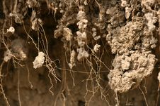 Texture Of Dirt With Roots Stock Photos Texture Of Dirt With Roots Stock Photos