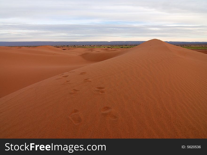 Footprints across sand dunes, photographed at dawn in the Sahara desert. Footprints across sand dunes, photographed at dawn in the Sahara desert.