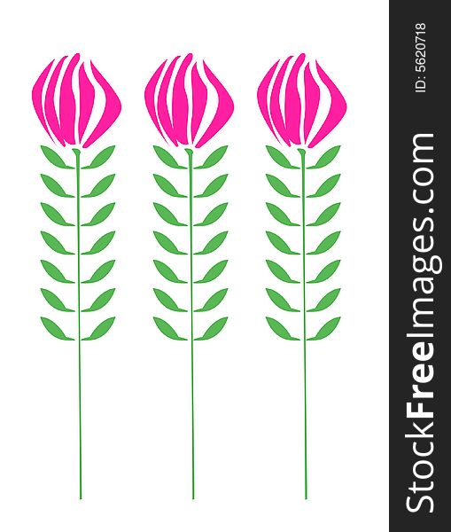 Vector illustration of three flower. Vector illustration of three flower