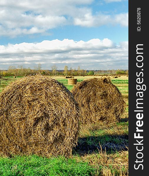 Two rolls of hay on the foreground. Two rolls of hay on the foreground