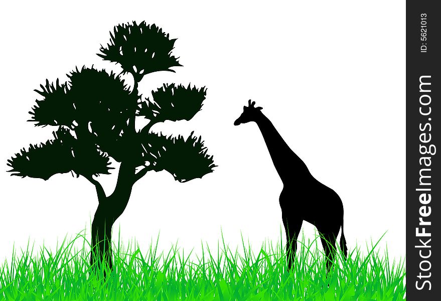 Giraffe on the grass illustration