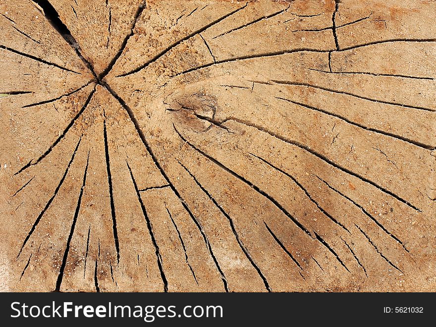Wood grain cracks texture, close up. Wood grain cracks texture, close up