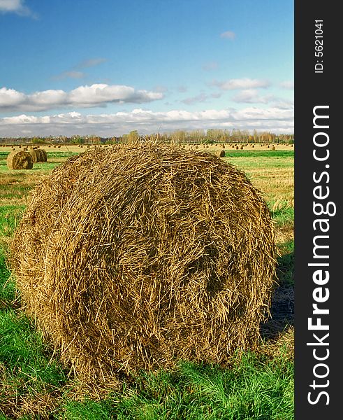 Intorted Roll Of Hay