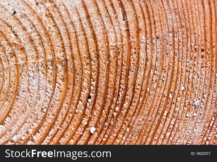 Texture series: fresh wooden cut background with circle. Texture series: fresh wooden cut background with circle