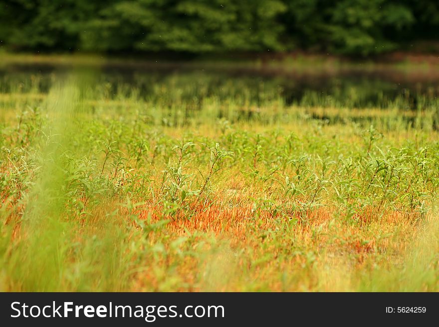 Background of colored field near lake