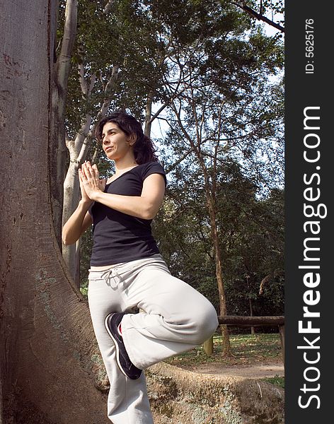 A young, attractive woman is standing next to a tree in a park.  She is performing yoga and stretching.  The camera is looking up at her, and she is looking away from it.  Vertically framed photo. A young, attractive woman is standing next to a tree in a park.  She is performing yoga and stretching.  The camera is looking up at her, and she is looking away from it.  Vertically framed photo.