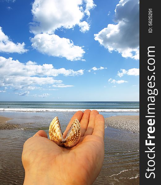 Shell On Hand