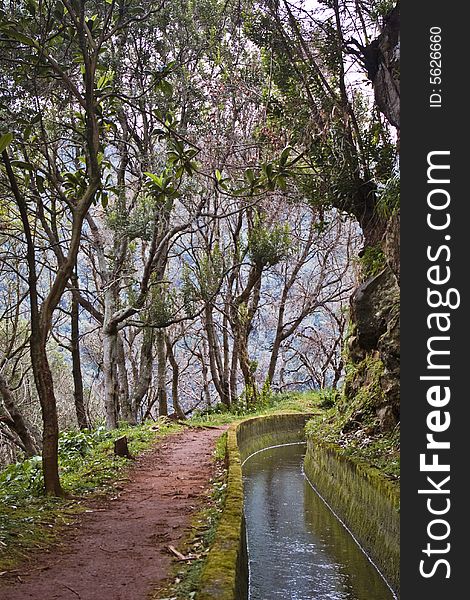 Path (levada) on Madeira island. Path (levada) on Madeira island