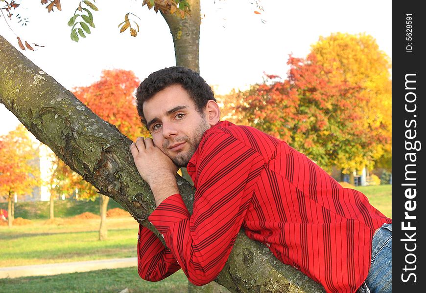 The young man is embracing the rowan-tree. The young man is embracing the rowan-tree