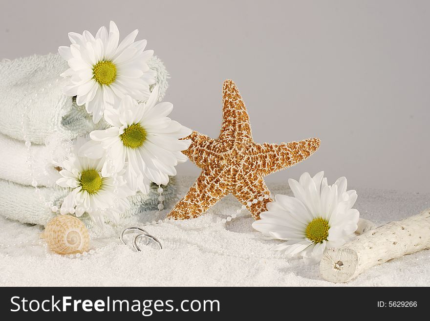 A Starfish stands tall in white sand with white Daisies and towels, with room for copy. A Starfish stands tall in white sand with white Daisies and towels, with room for copy.