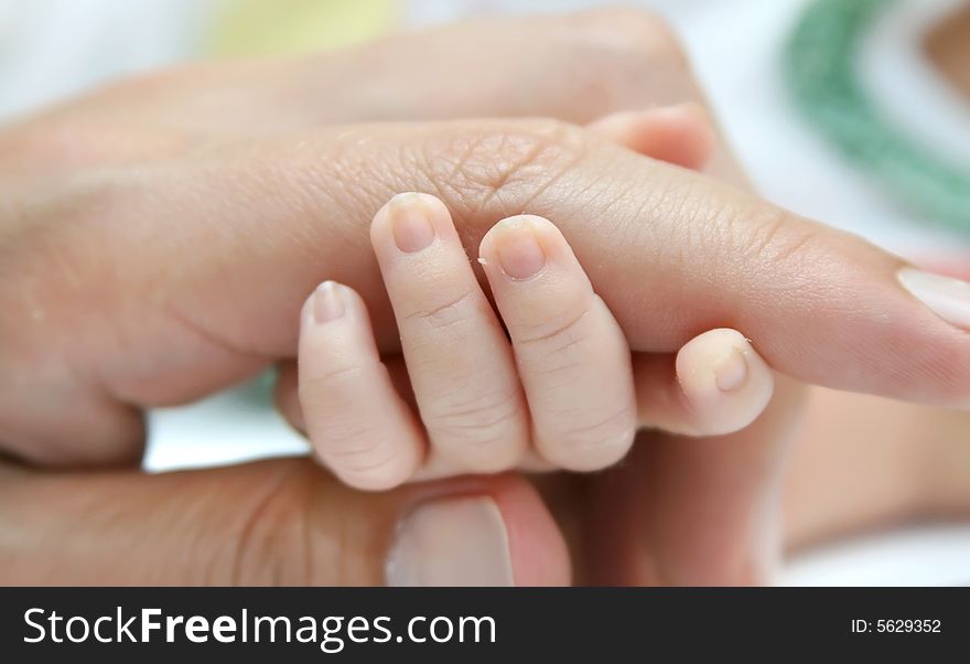 Hands. The daddy holds a hand of a small daughter