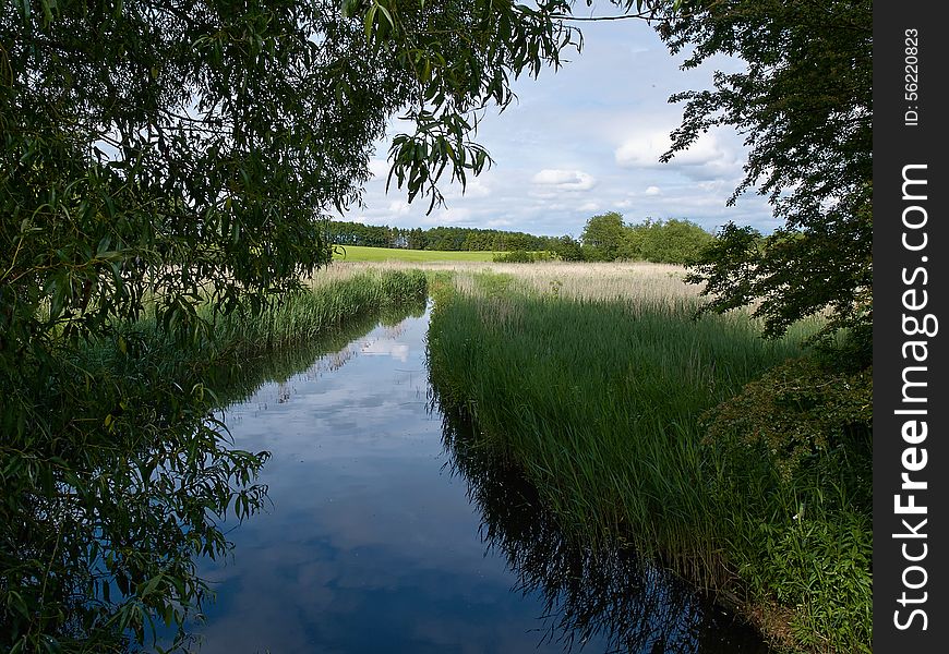 Small beautiful brook stream river in a green lush forest nature background. Small beautiful brook stream river in a green lush forest nature background