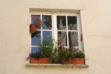 Window With Flowers Royalty Free Stock Image Window With Flowers Royalty Free Stock Image