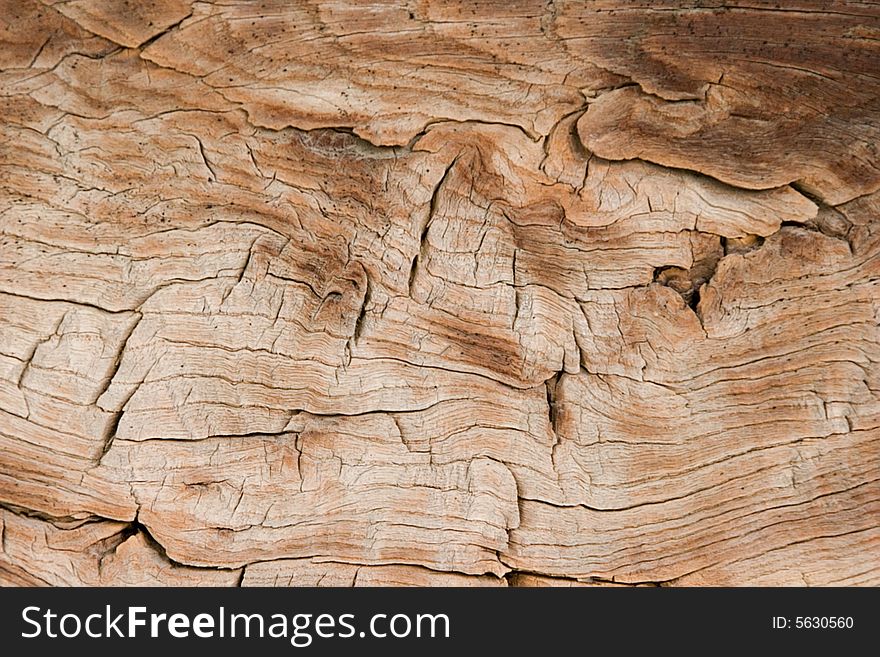 Old Wood Background