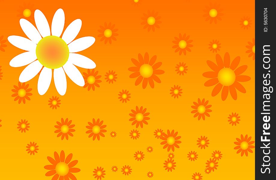 Sun Flower Background