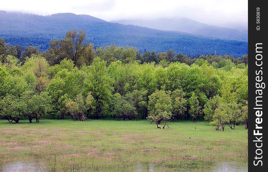 River at edge of mountain and forest. River at edge of mountain and forest