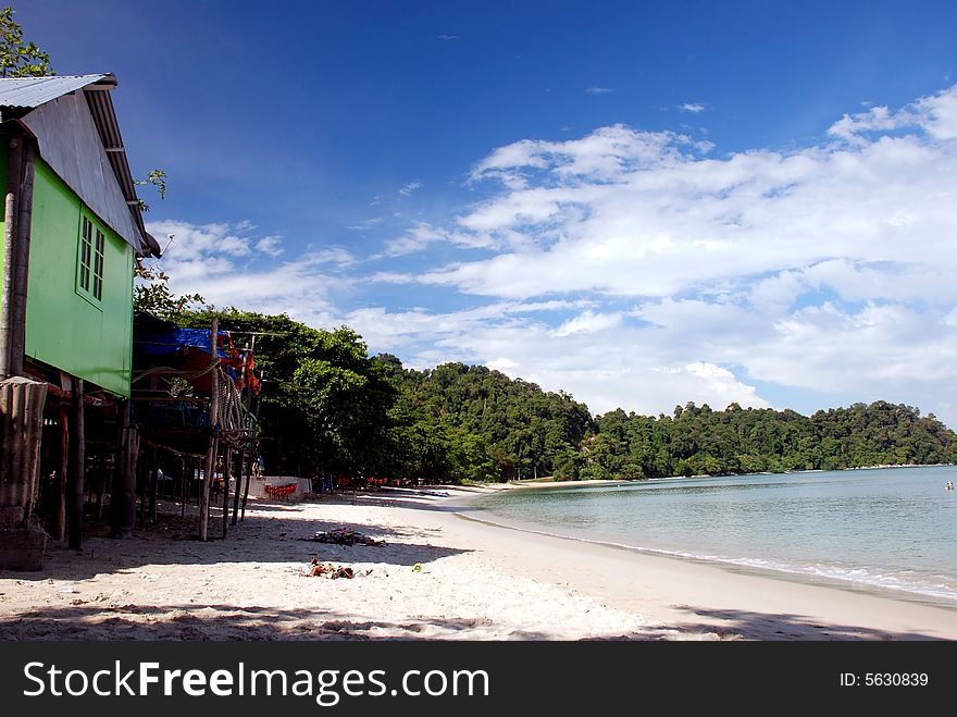 Beach Scenery