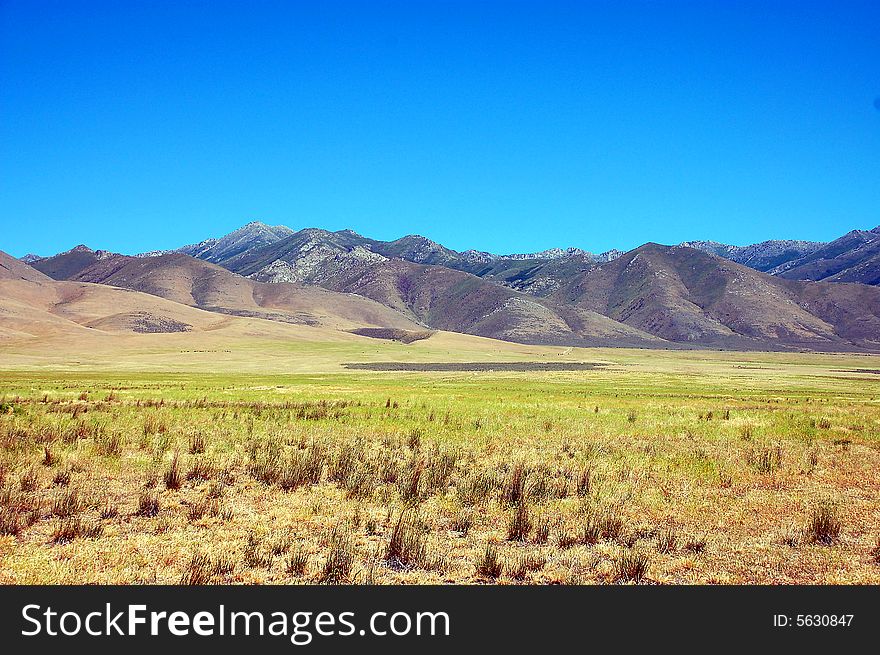 Foothills in Nevada desert in spring. Foothills in Nevada desert in spring