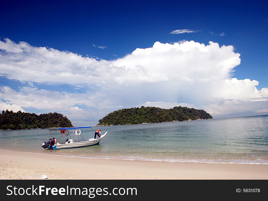 Beach Scenery