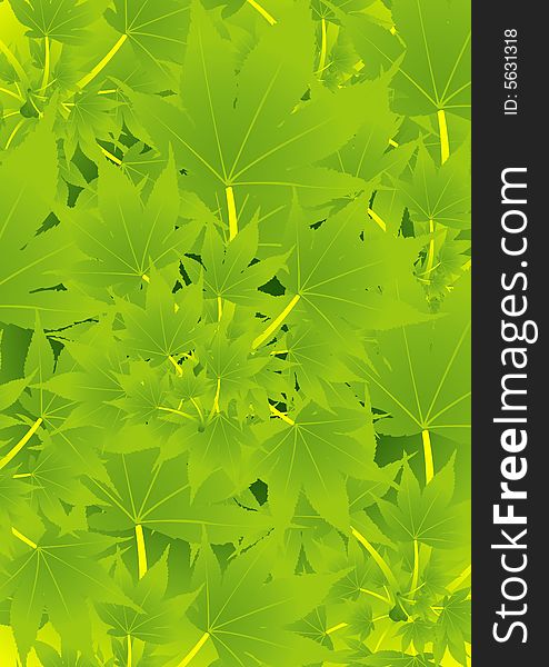 Green leaves background for your creative designing works