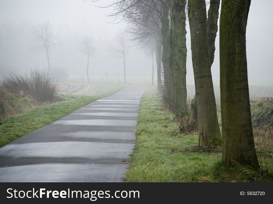 A foggy street in the morning