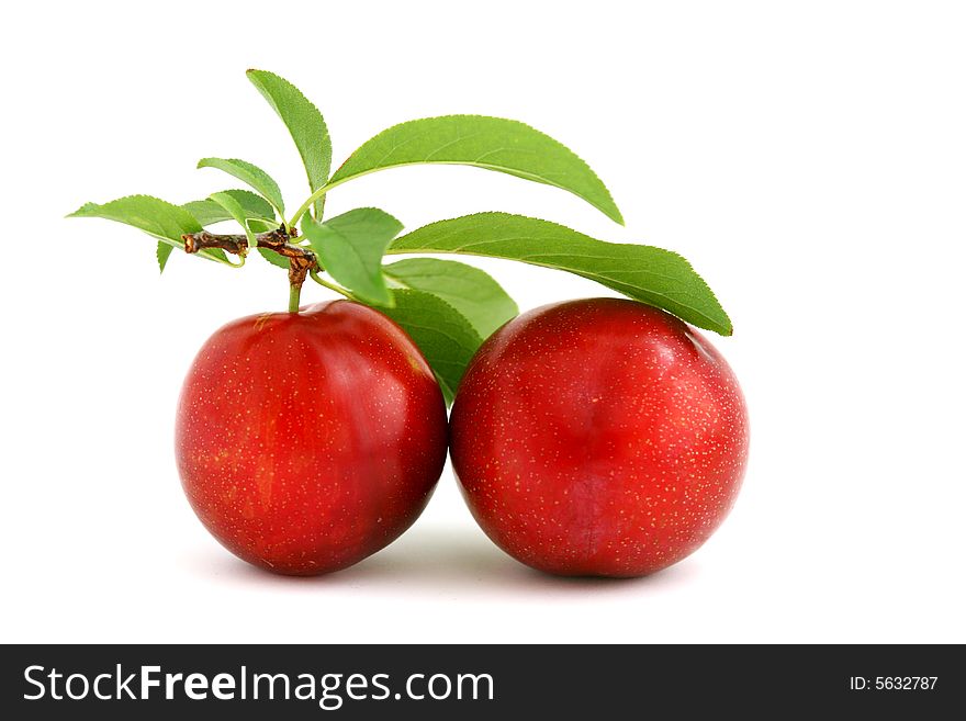 Two isolated red plums with leaves on white background