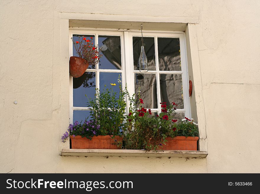 Window With Flowers