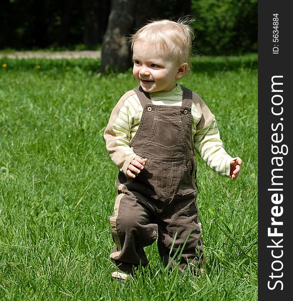 The little boy plays on a green grass