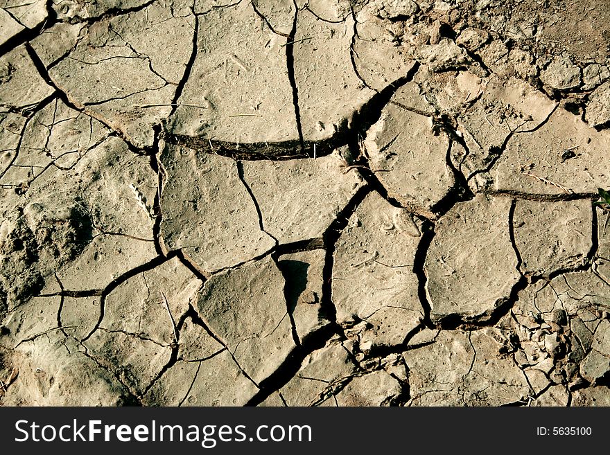 Picture of crack and arid ground. Picture of crack and arid ground