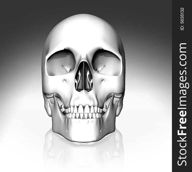 3D white skull