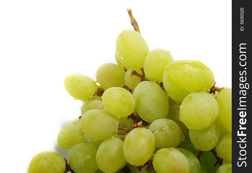 Isolated bunch of grapes