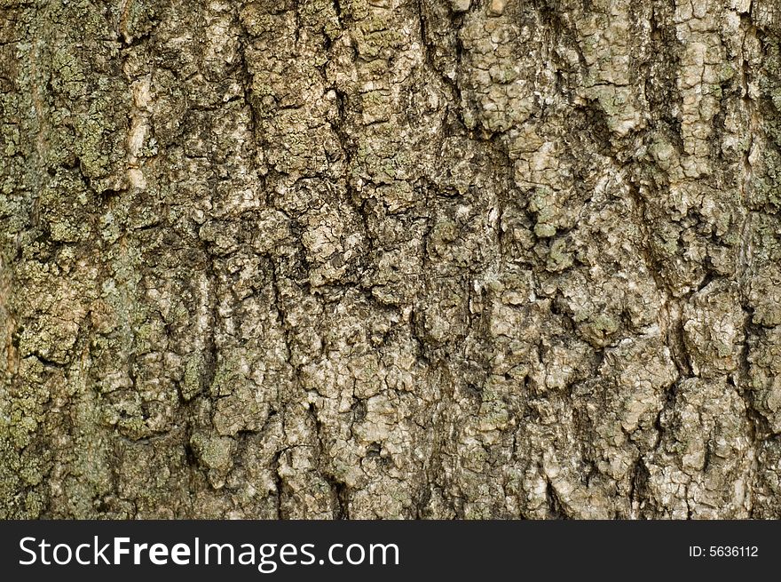 Textured brown tree bark horizontal