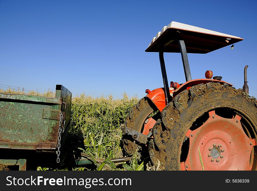 Side View of Farm Tractor with Corn
Fields in Background